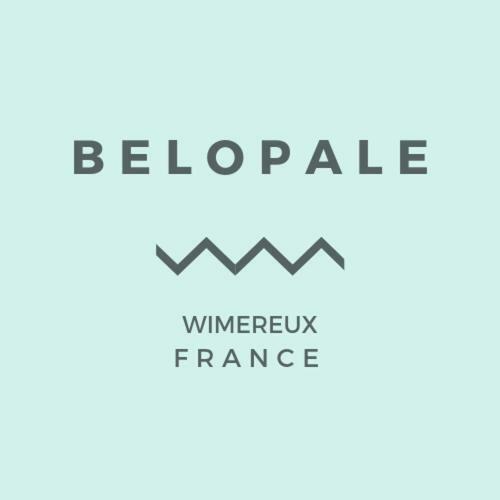 Belopale @ Residence La Belle Epoque Wimereux Exterior foto